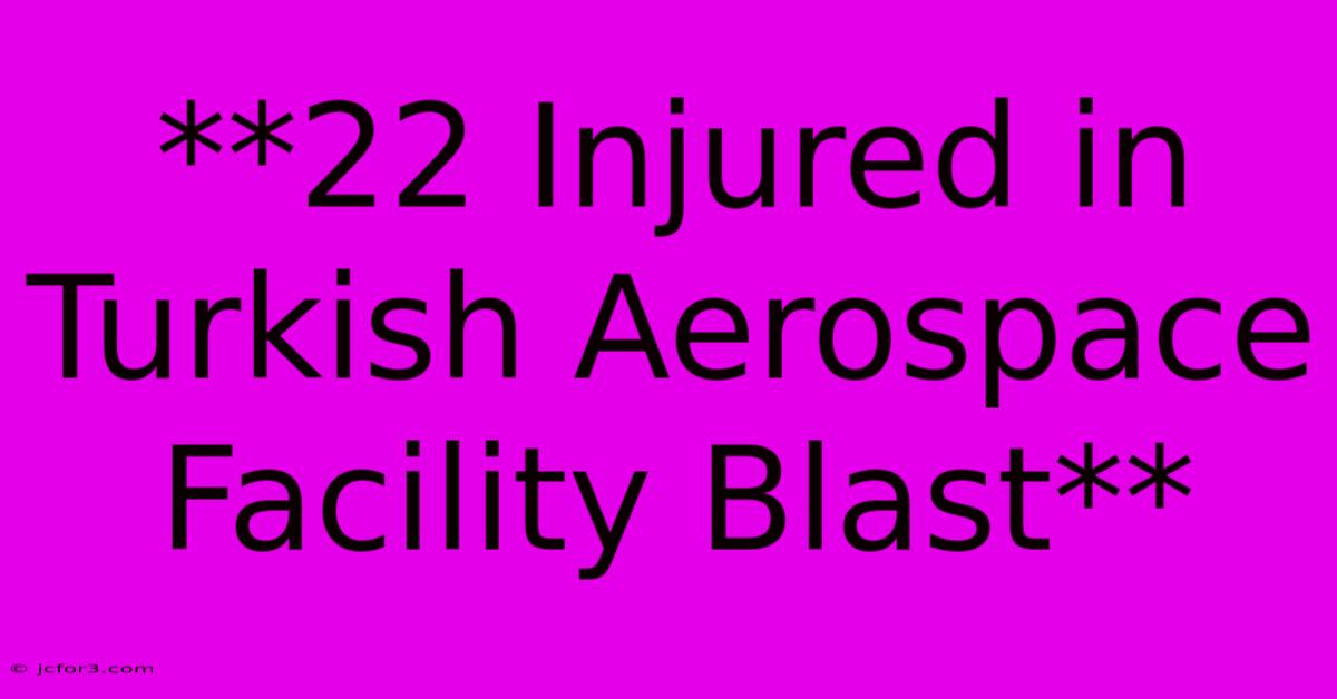 **22 Injured In Turkish Aerospace Facility Blast** 