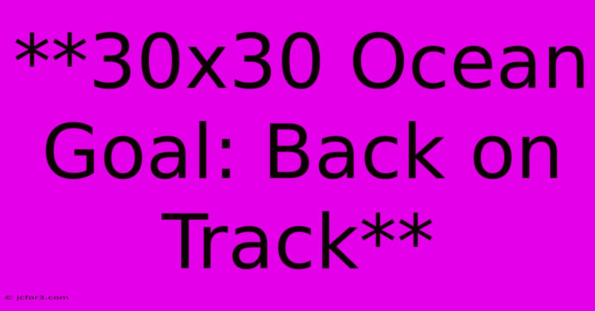 **30x30 Ocean Goal: Back On Track**