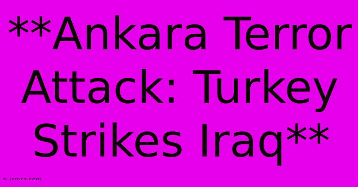 **Ankara Terror Attack: Turkey Strikes Iraq** 