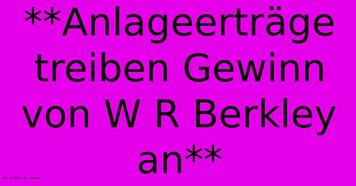 **Anlageerträge Treiben Gewinn Von W R Berkley An**