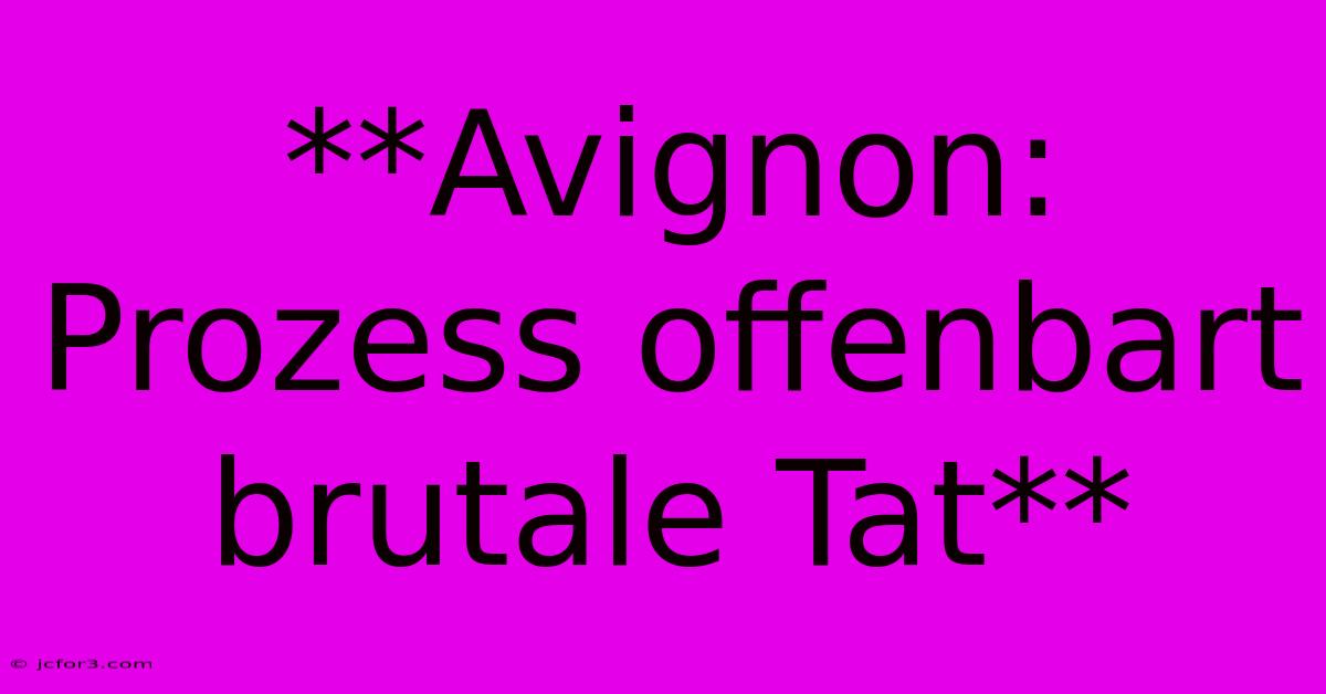 **Avignon: Prozess Offenbart Brutale Tat** 