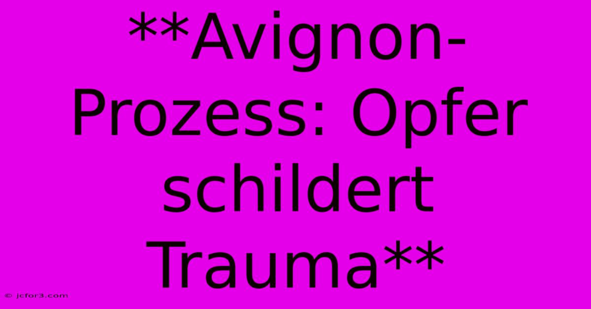 **Avignon-Prozess: Opfer Schildert Trauma**