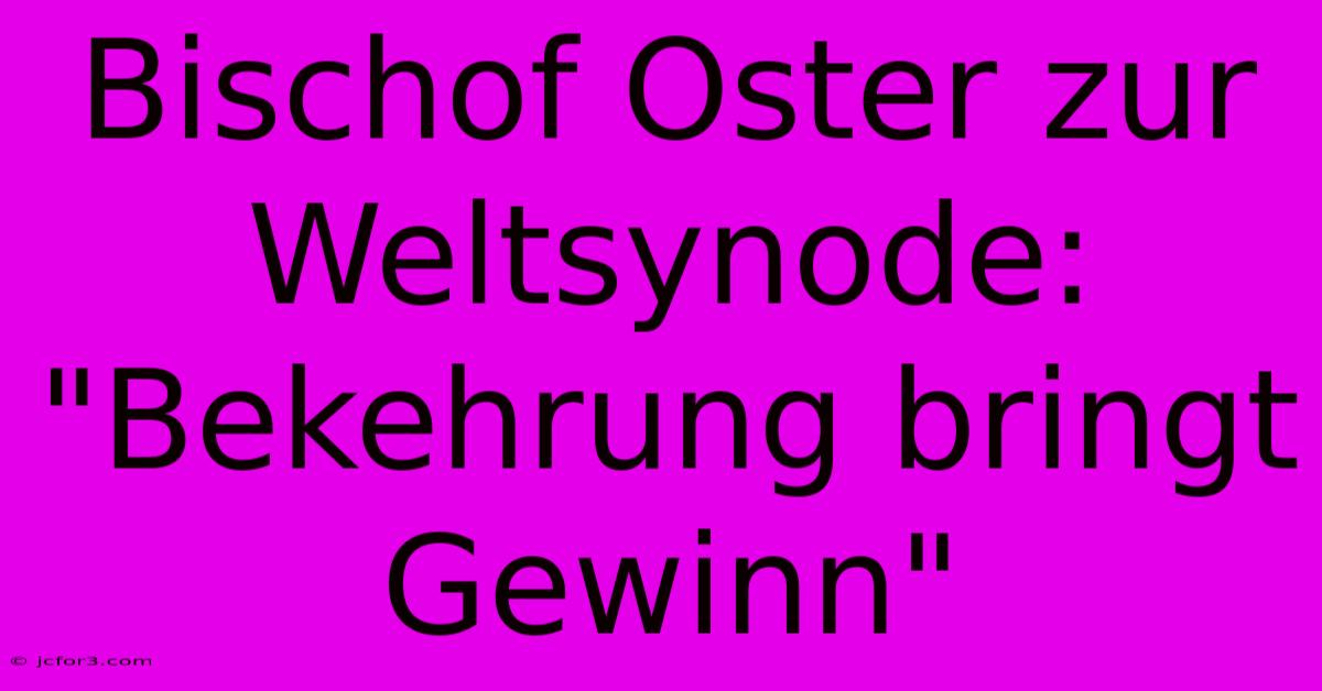 Bischof Oster Zur Weltsynode: 