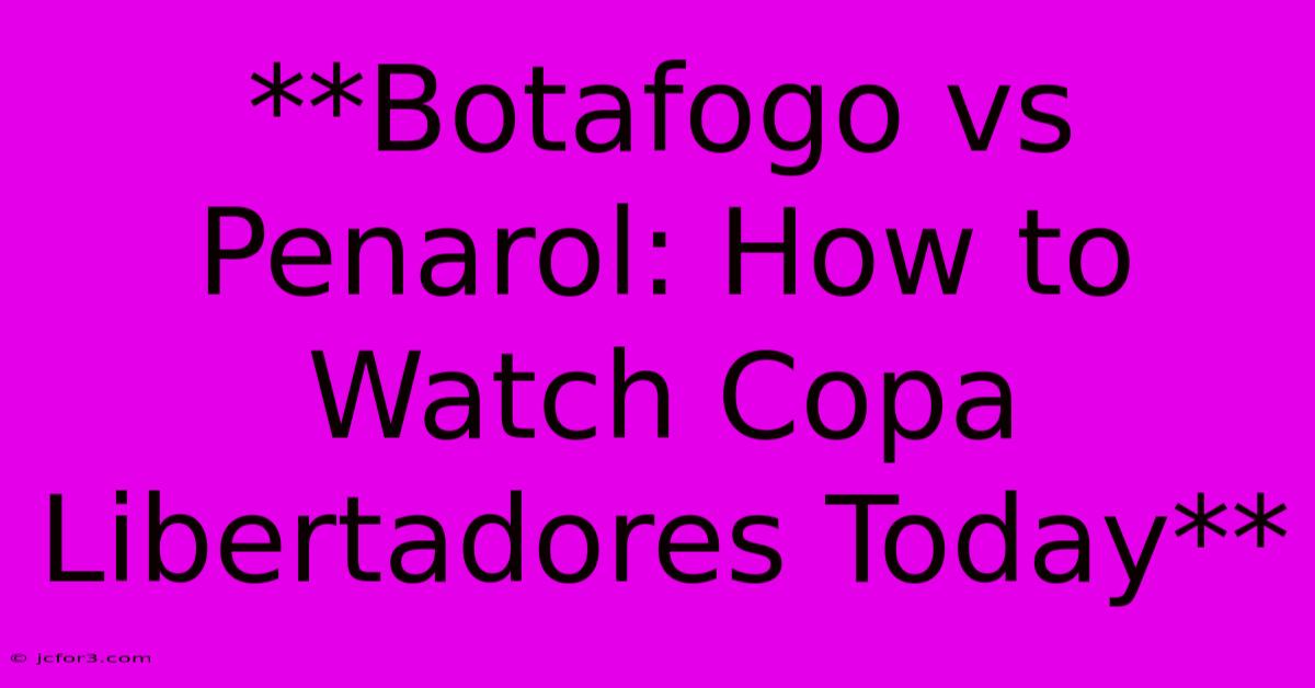 **Botafogo Vs Penarol: How To Watch Copa Libertadores Today**