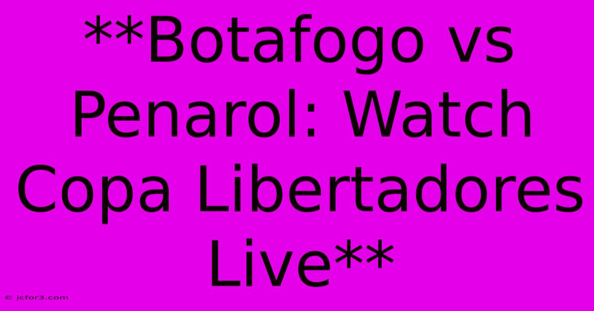 **Botafogo Vs Penarol: Watch Copa Libertadores Live**