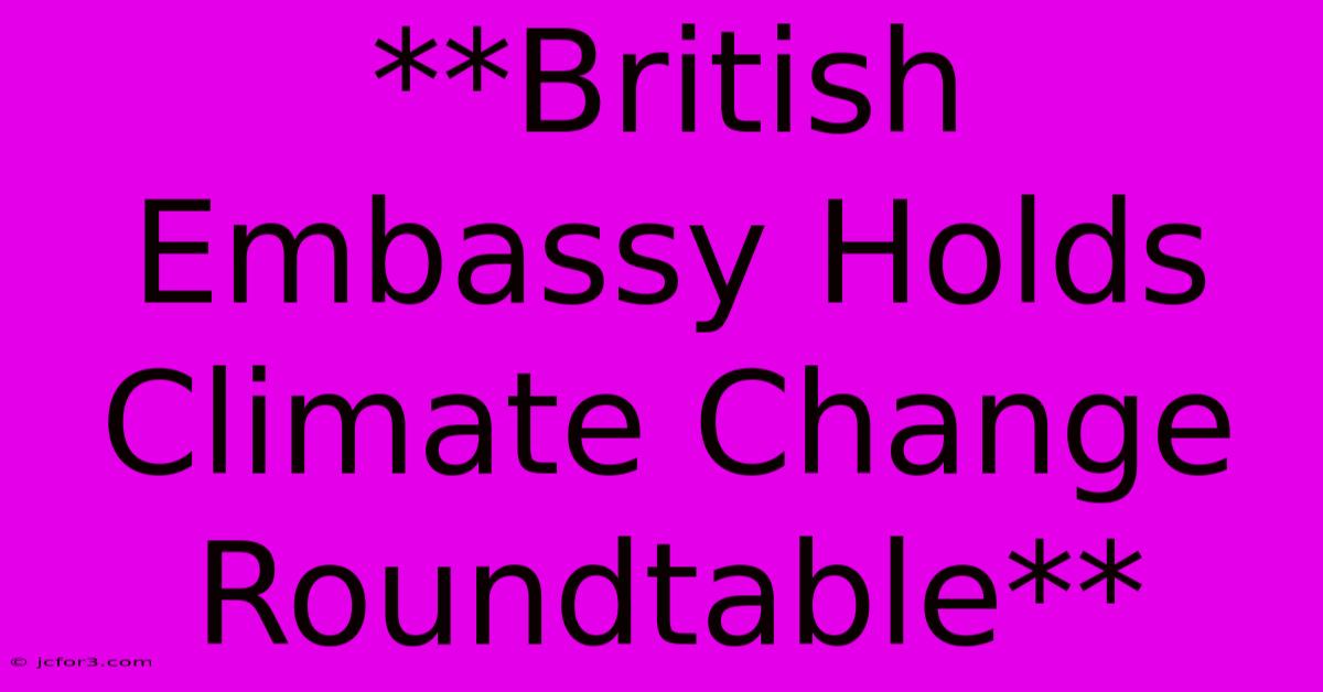 **British Embassy Holds Climate Change Roundtable**