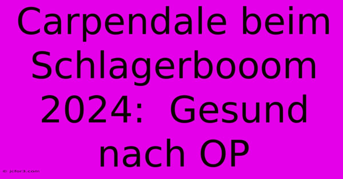 Carpendale Beim Schlagerbooom 2024:  Gesund Nach OP 