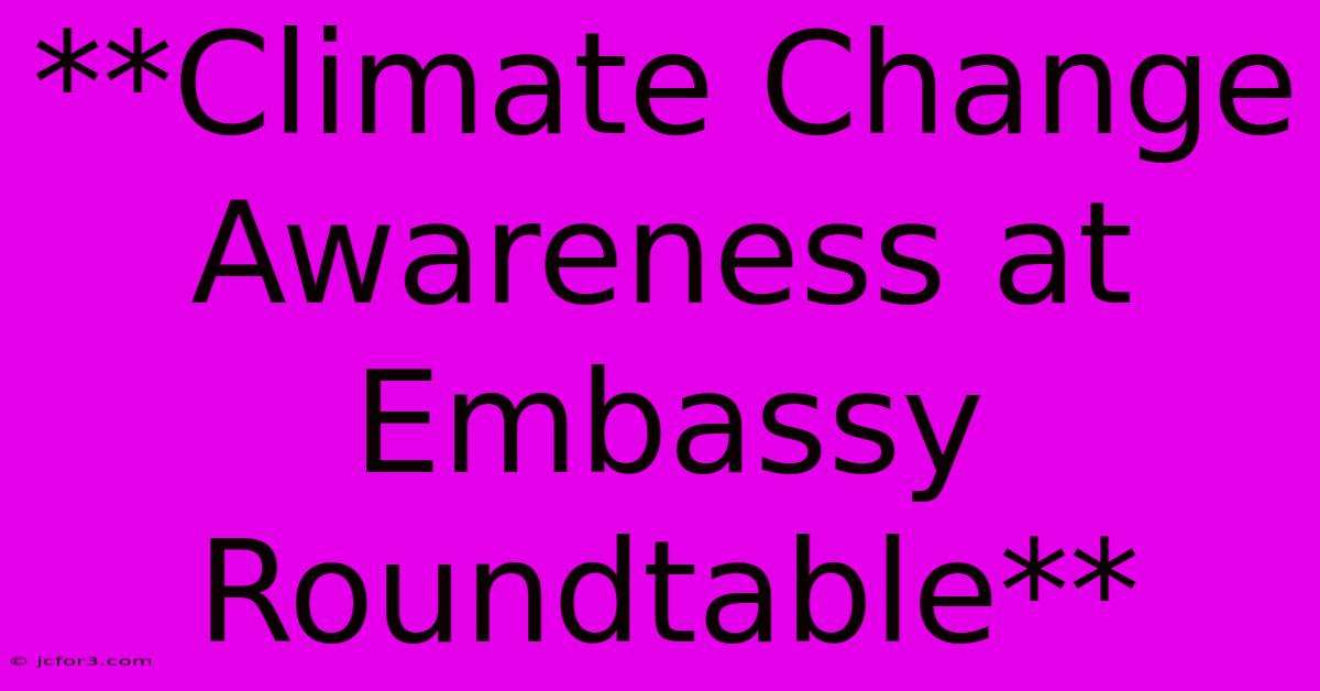 **Climate Change Awareness At Embassy Roundtable**