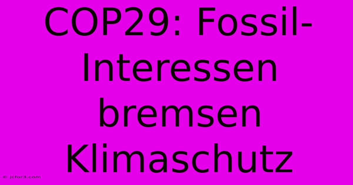 COP29: Fossil-Interessen Bremsen Klimaschutz