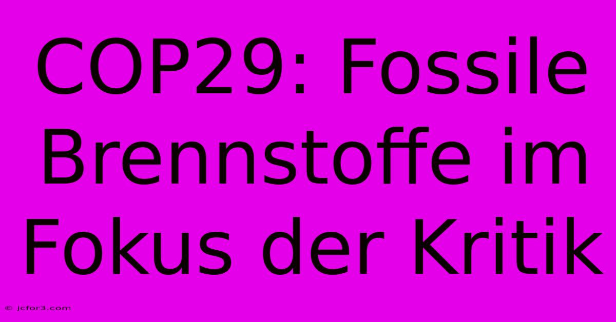 COP29: Fossile Brennstoffe Im Fokus Der Kritik