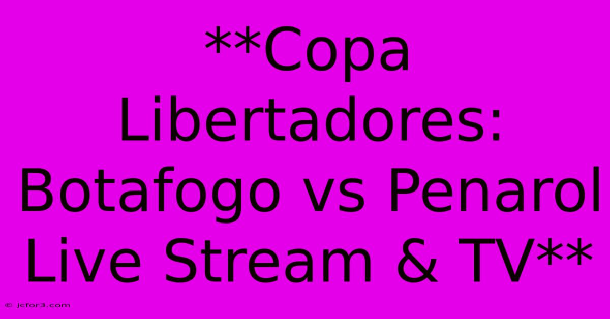 **Copa Libertadores: Botafogo Vs Penarol Live Stream & TV**