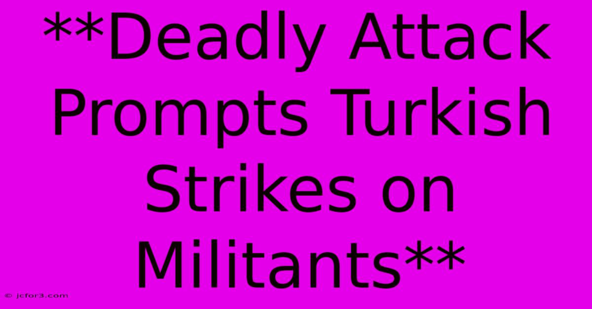 **Deadly Attack Prompts Turkish Strikes On Militants** 