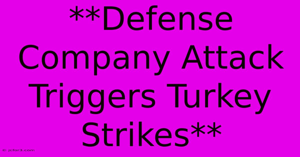 **Defense Company Attack Triggers Turkey Strikes** 