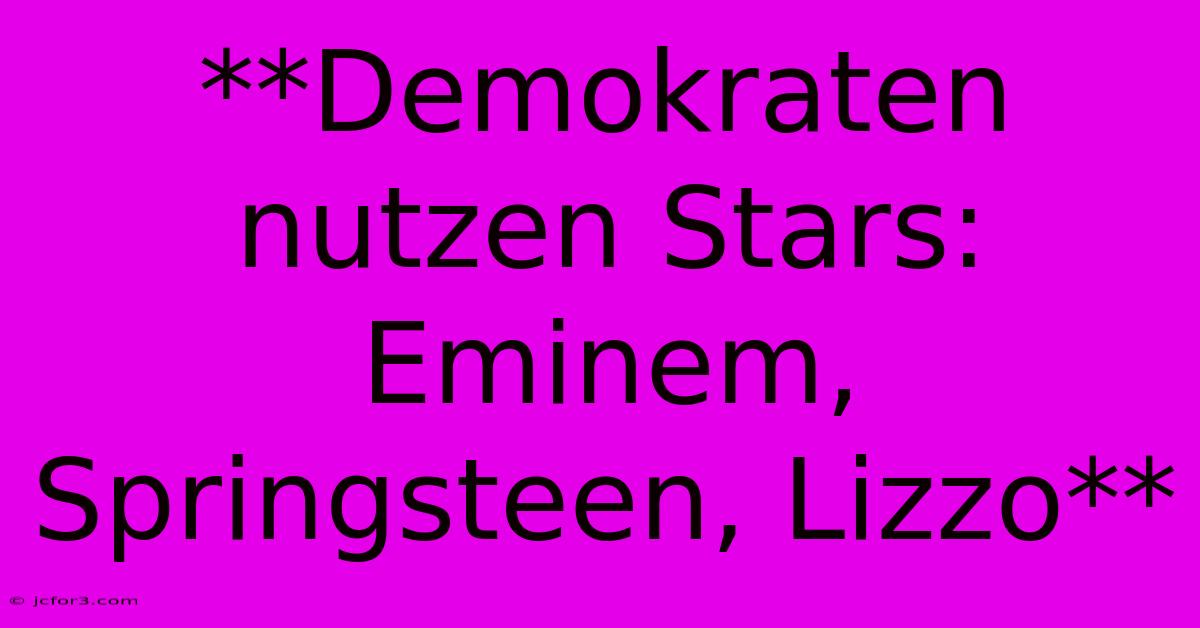 **Demokraten Nutzen Stars: Eminem, Springsteen, Lizzo**