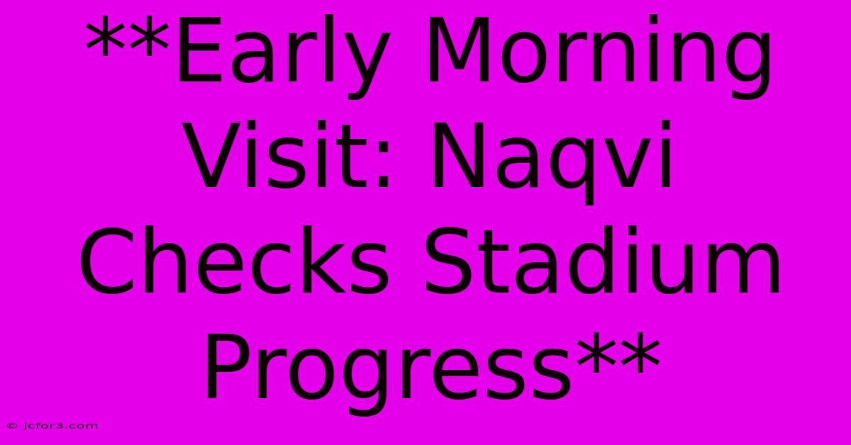 **Early Morning Visit: Naqvi Checks Stadium Progress**