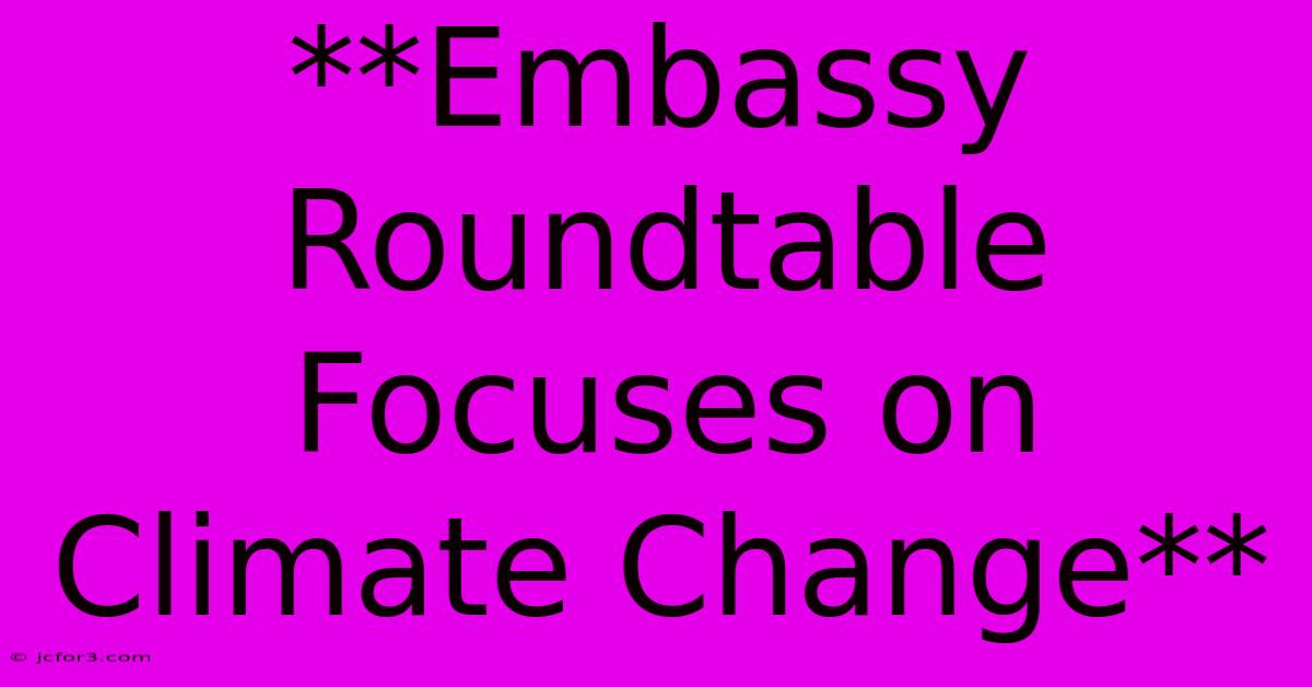 **Embassy Roundtable Focuses On Climate Change** 