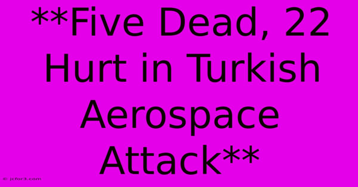 **Five Dead, 22 Hurt In Turkish Aerospace Attack**