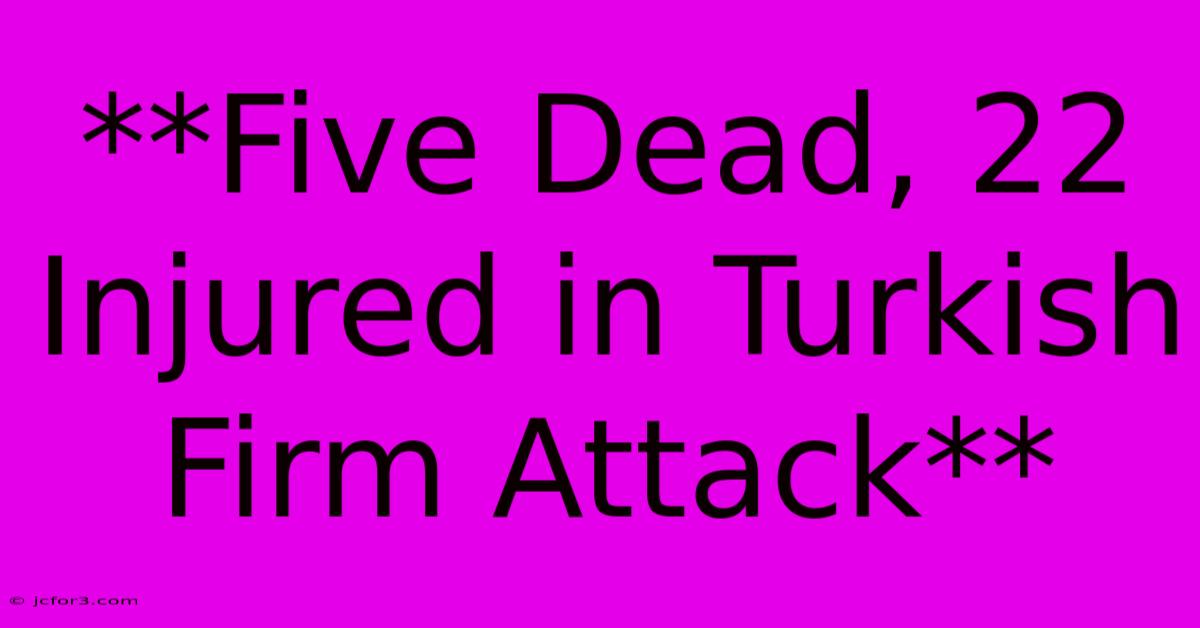 **Five Dead, 22 Injured In Turkish Firm Attack**