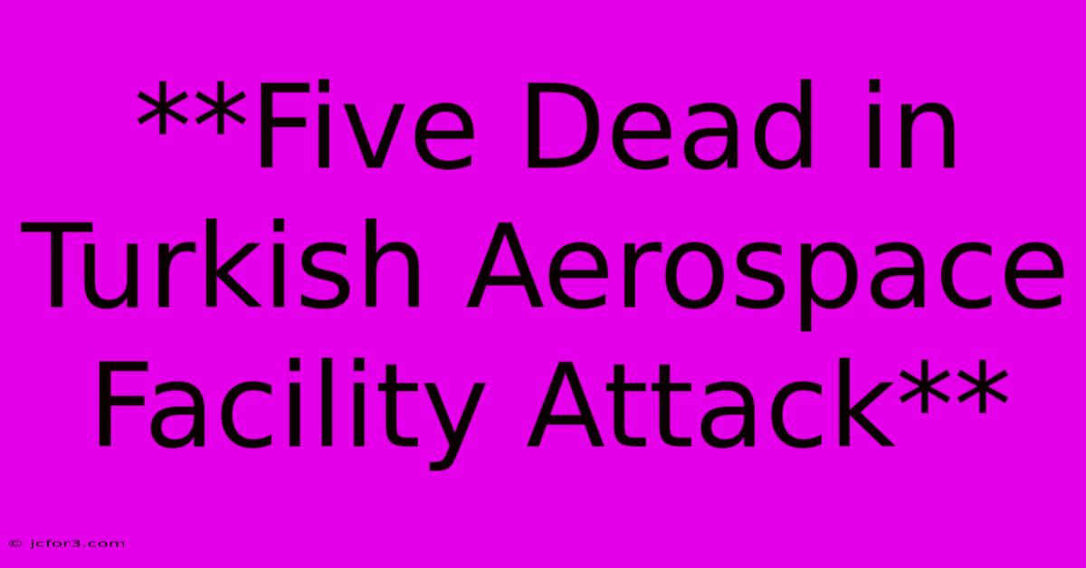 **Five Dead In Turkish Aerospace Facility Attack**