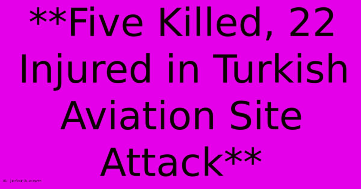 **Five Killed, 22 Injured In Turkish Aviation Site Attack**