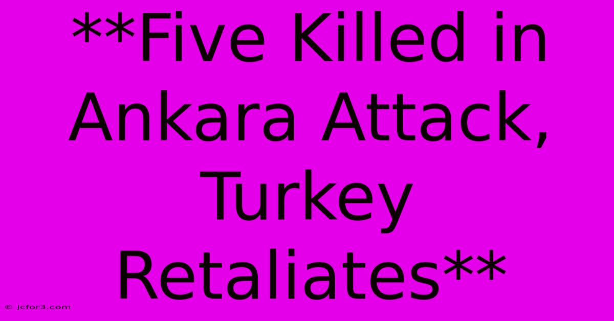 **Five Killed In Ankara Attack, Turkey Retaliates**