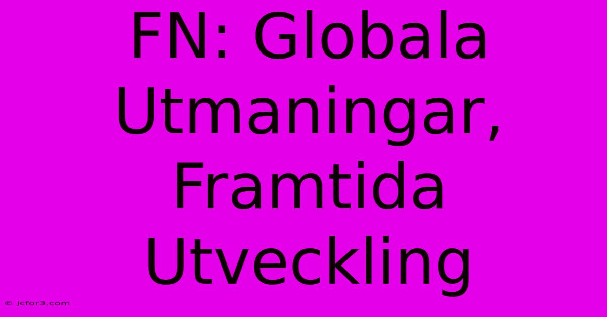 FN: Globala Utmaningar, Framtida Utveckling