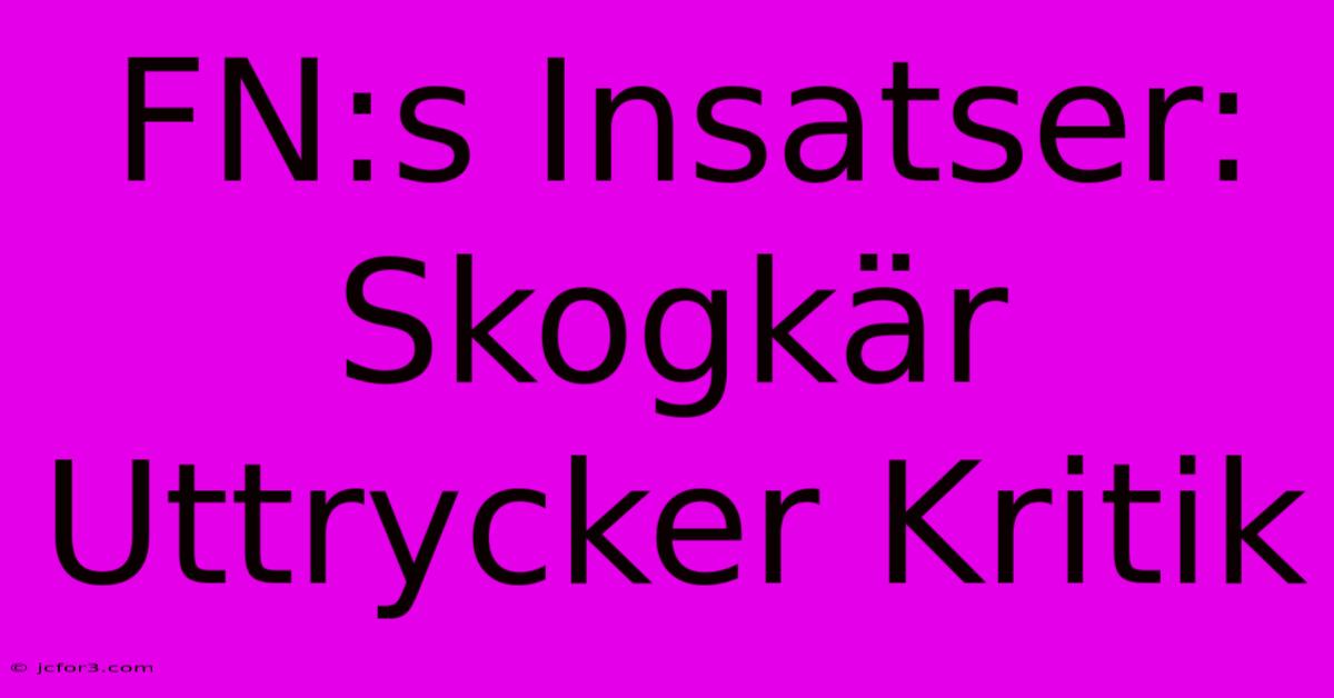 FN:s Insatser: Skogkär Uttrycker Kritik 