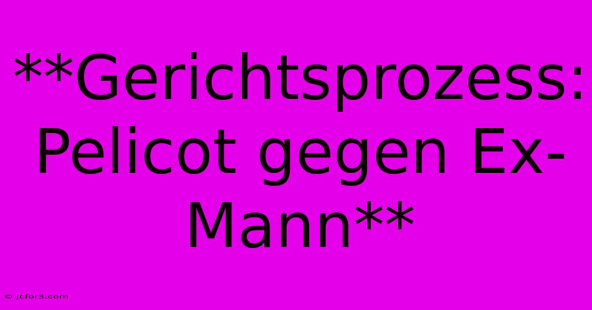 **Gerichtsprozess: Pelicot Gegen Ex-Mann**