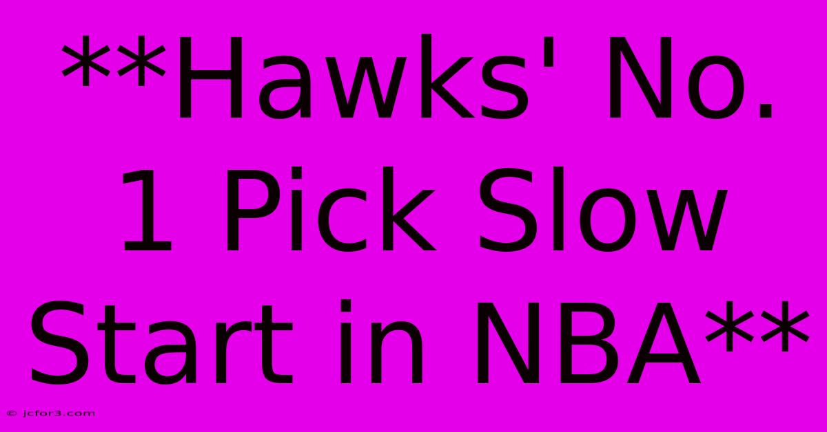 **Hawks' No. 1 Pick Slow Start In NBA**