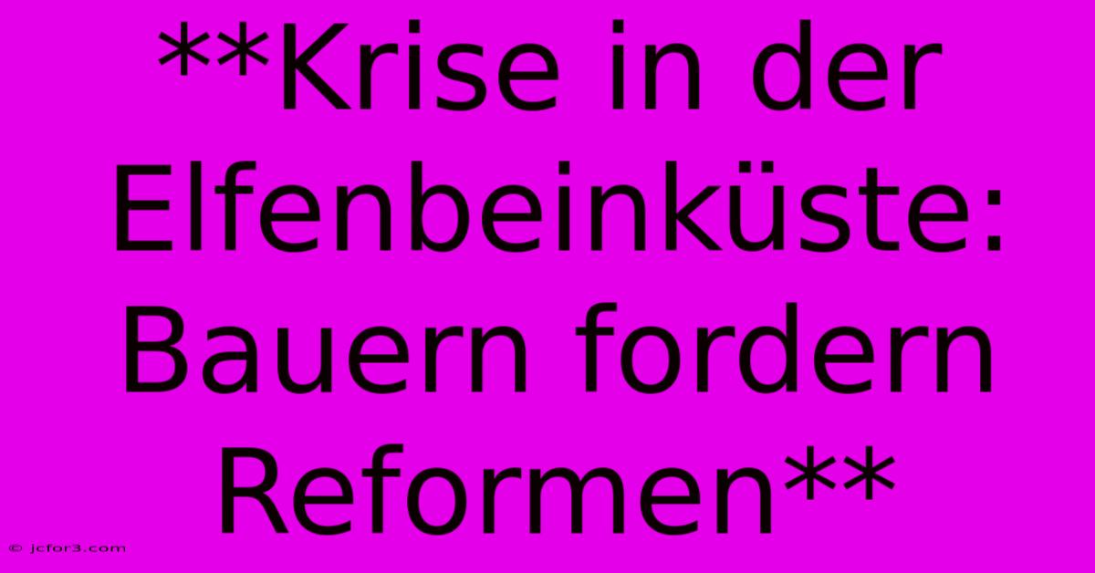 **Krise In Der Elfenbeinküste: Bauern Fordern Reformen**