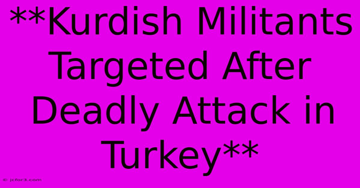 **Kurdish Militants Targeted After Deadly Attack In Turkey**