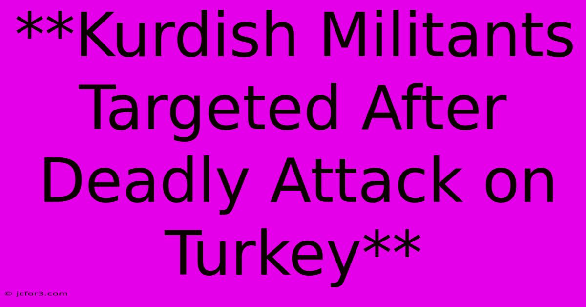 **Kurdish Militants Targeted After Deadly Attack On Turkey**