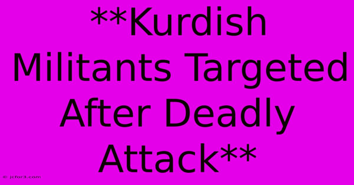 **Kurdish Militants Targeted After Deadly Attack**