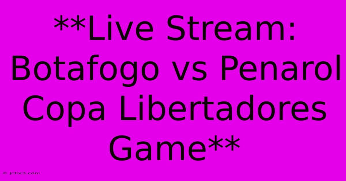 **Live Stream: Botafogo Vs Penarol Copa Libertadores Game**