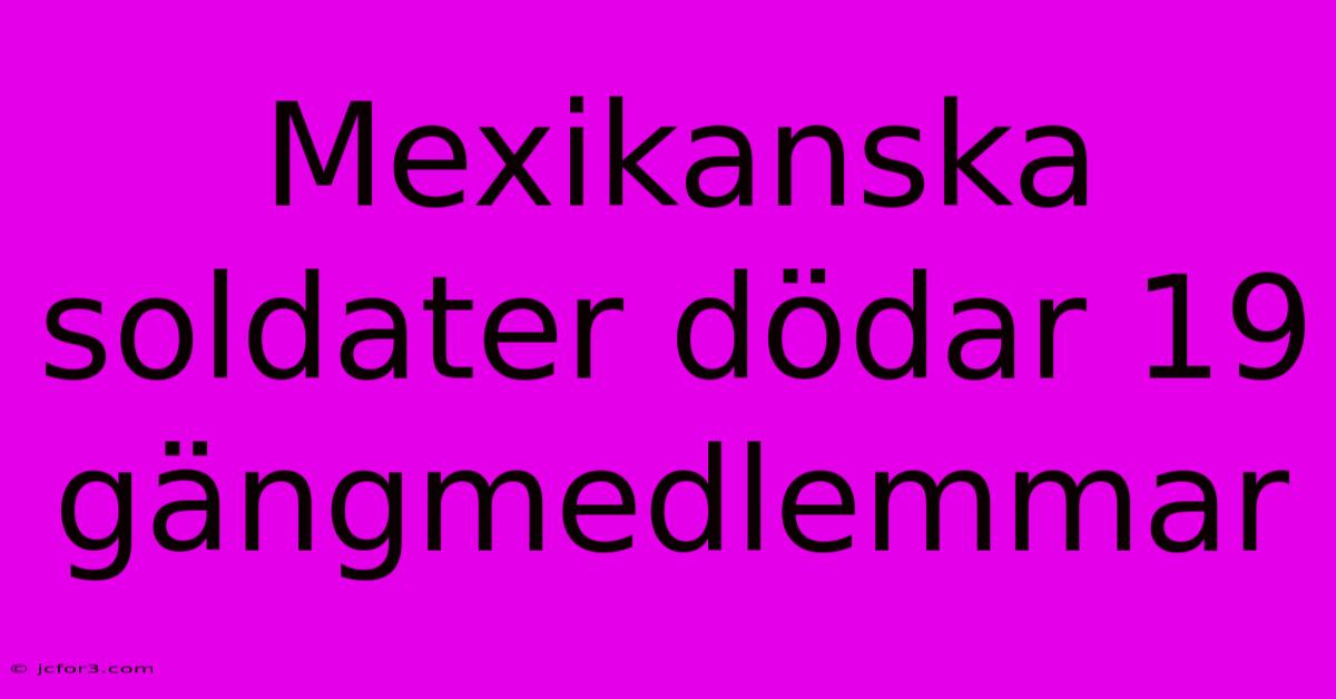 Mexikanska Soldater Dödar 19 Gängmedlemmar 