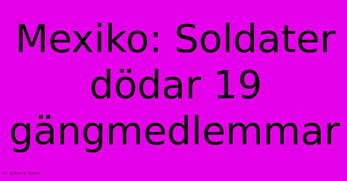 Mexiko: Soldater Dödar 19 Gängmedlemmar