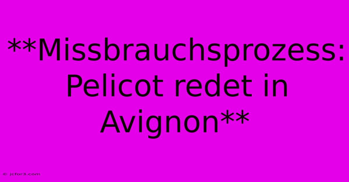 **Missbrauchsprozess: Pelicot Redet In Avignon**