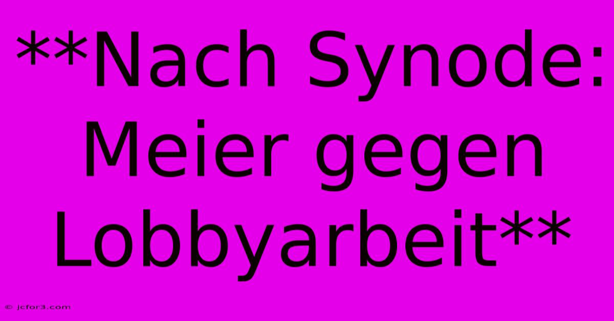 **Nach Synode: Meier Gegen Lobbyarbeit** 