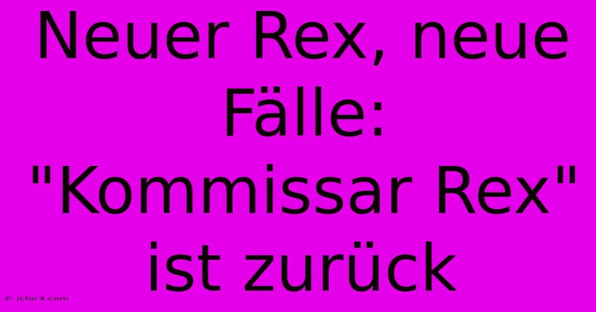 Neuer Rex, Neue Fälle: 