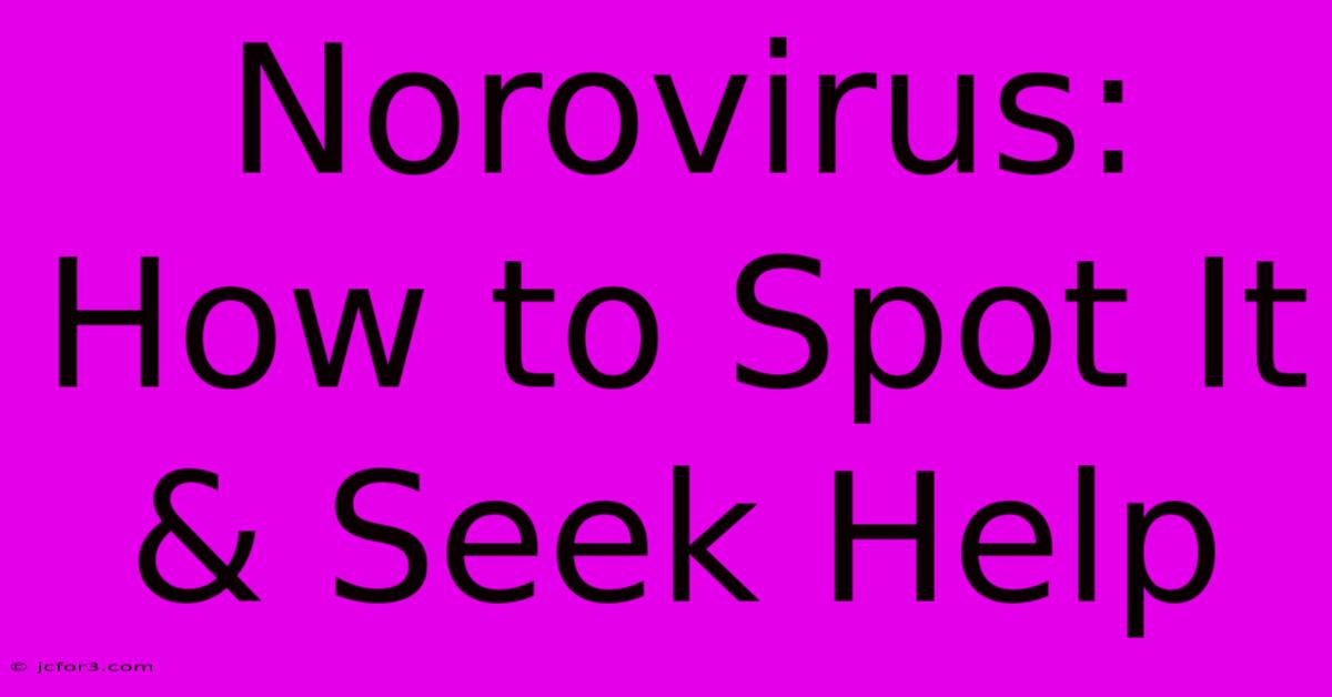 Norovirus: How To Spot It & Seek Help 