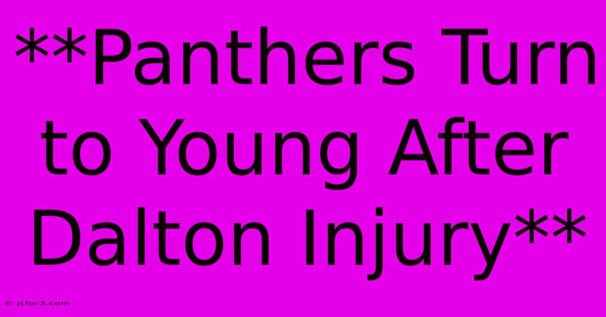 **Panthers Turn To Young After Dalton Injury**