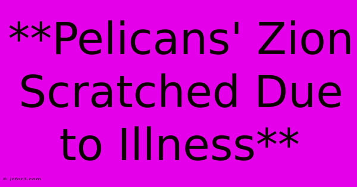 **Pelicans' Zion Scratched Due To Illness**