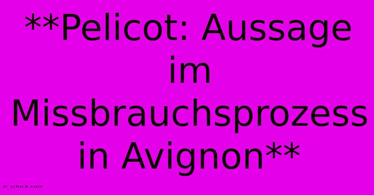 **Pelicot: Aussage Im Missbrauchsprozess In Avignon** 