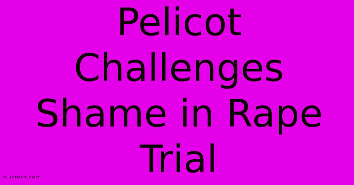 Pelicot Challenges Shame In Rape Trial