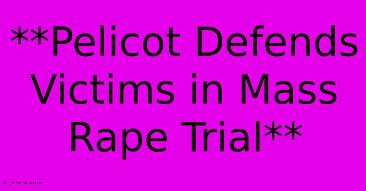 **Pelicot Defends Victims In Mass Rape Trial**