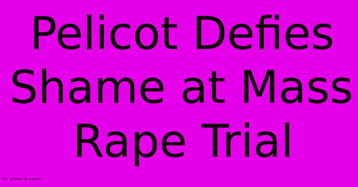 Pelicot Defies Shame At Mass Rape Trial