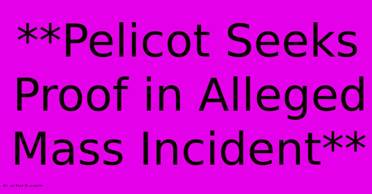 **Pelicot Seeks Proof In Alleged Mass Incident**