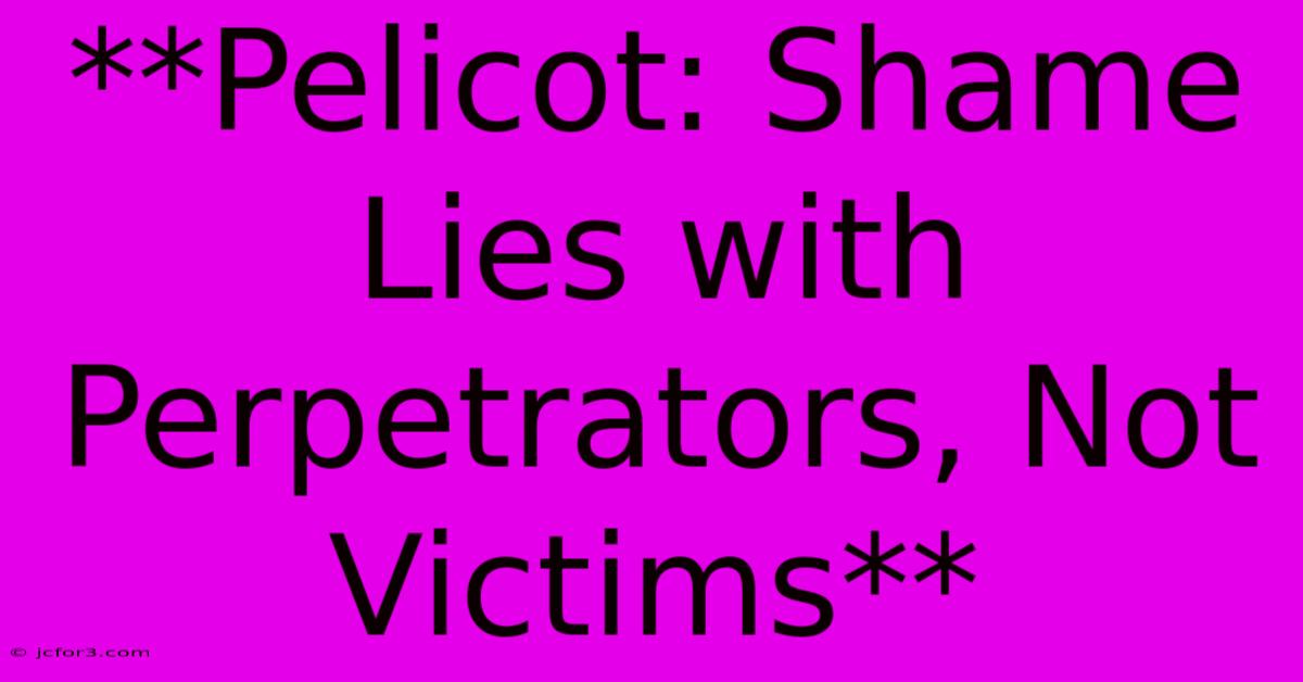 **Pelicot: Shame Lies With Perpetrators, Not Victims**