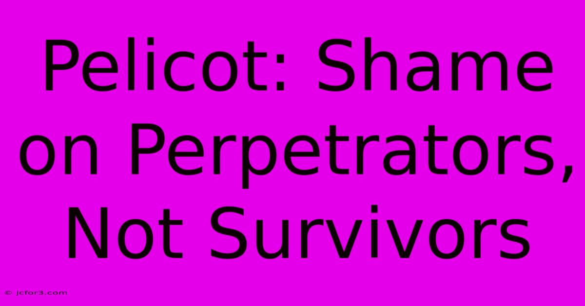 Pelicot: Shame On Perpetrators, Not Survivors