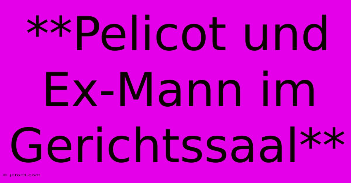 **Pelicot Und Ex-Mann Im Gerichtssaal** 